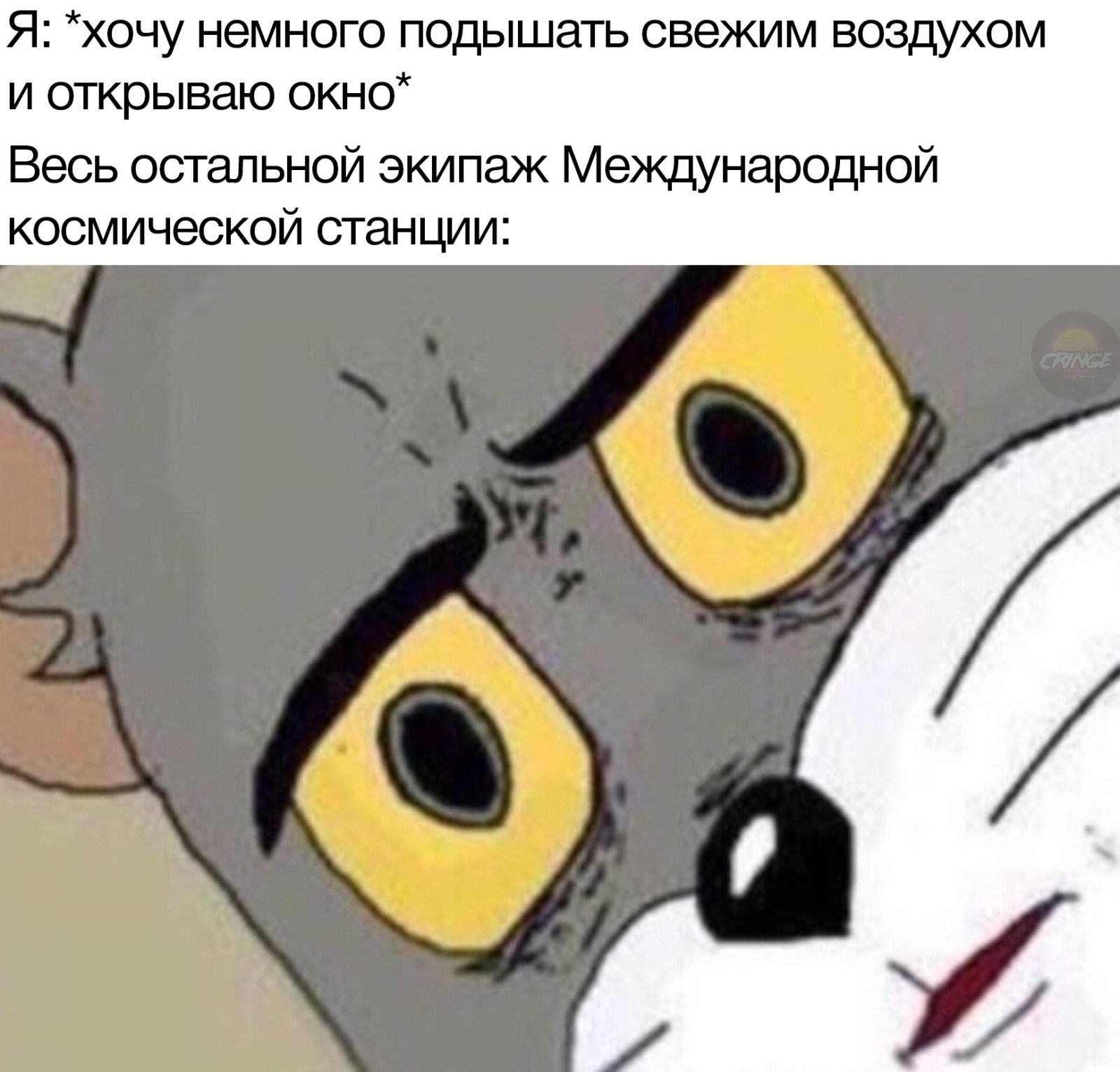 Мем с удивленным лицом кота Тома