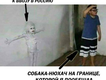 Мем про девочку у стены