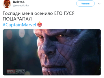 Кошка Гуся