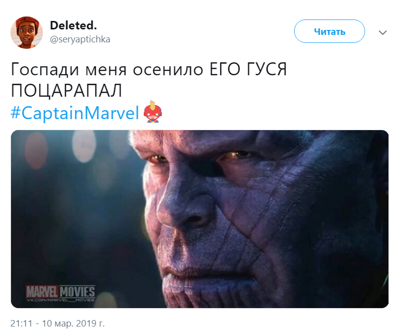 Кошка Гуся