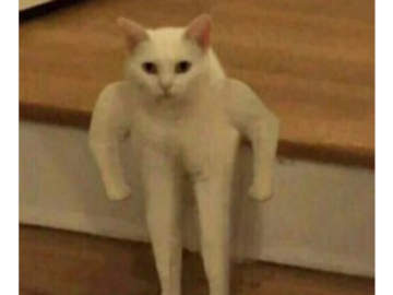 Кошка Гуся