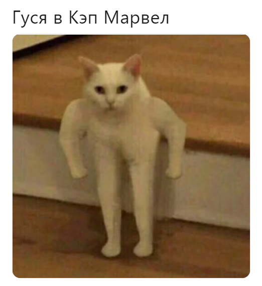 Кошка Гуся