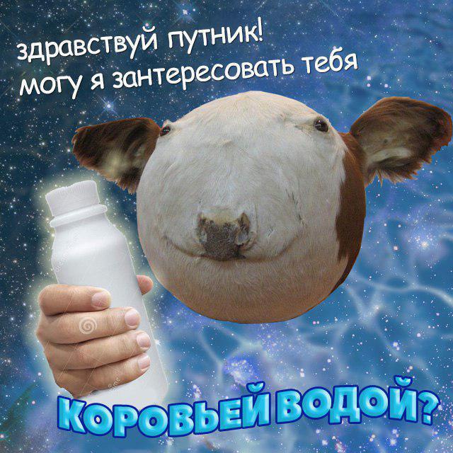 Сферическая корова мем Сферическая корова мем