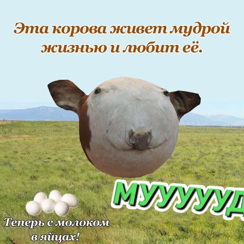 Сферическая корова мем