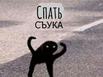 мем с котом ъуъ съука