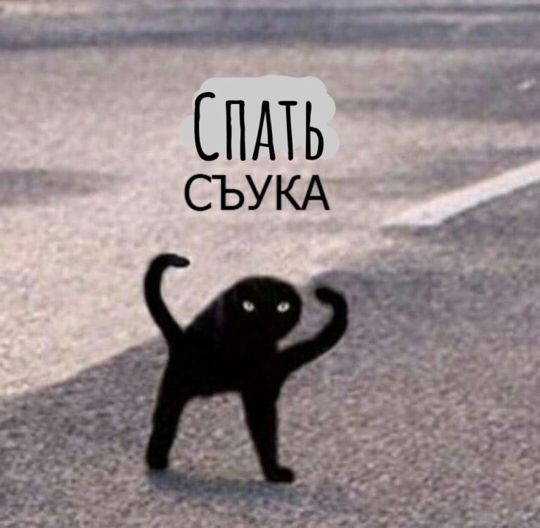мем с котом ъуъ съука