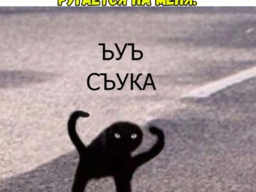 мем с котом ъуъ съука