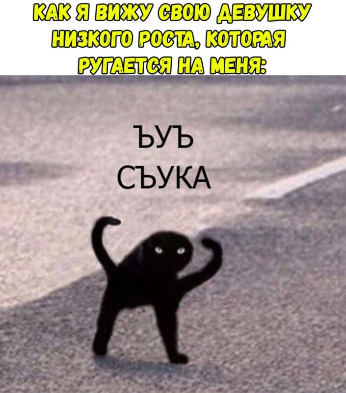 мем с котом ъуъ съука