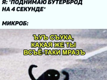мем с котом ъуъ съука