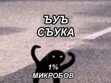 мем с котом ъуъ съука