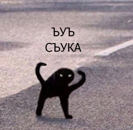мем с котом ъуъ съука мем с котом ъуъ съука