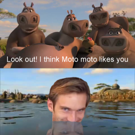 Мото Мото