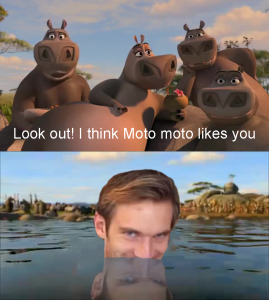Мото Мото
