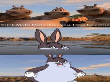 Мото Мото