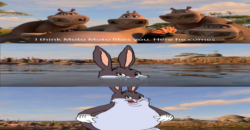 Мото Мото