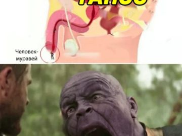 Человек-муравей в заднице Таноса