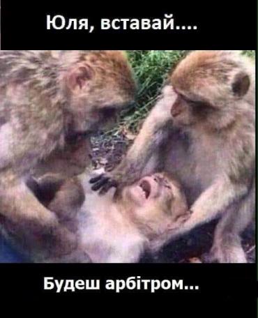 Зеленский и Порошенко