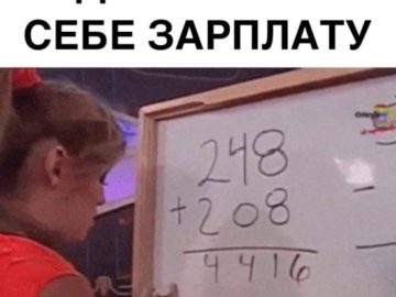 248+208 мем