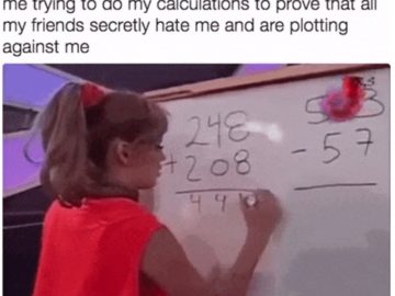 248+208 мем