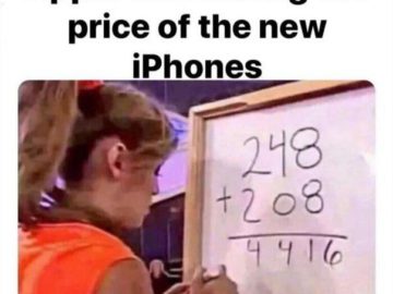 248+208 мем