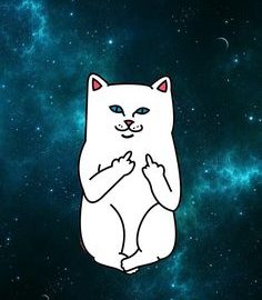 Lord Nermal
