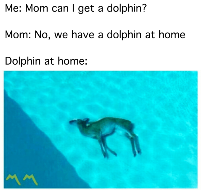 У нас есть еда дома