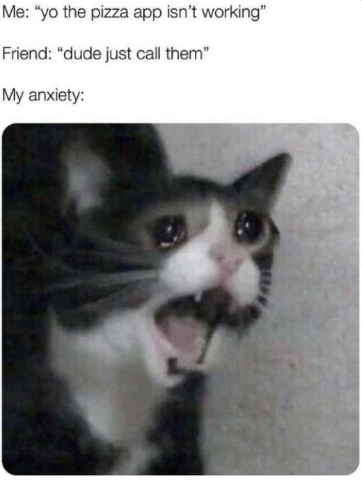 Кот кричит