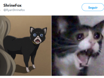 Кот кричит