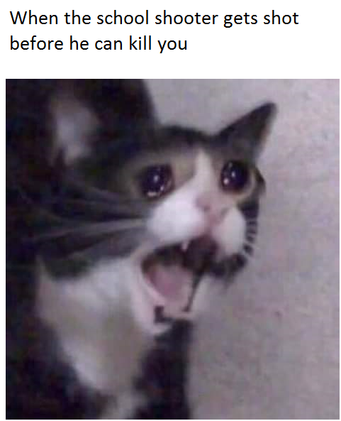 Кот кричит