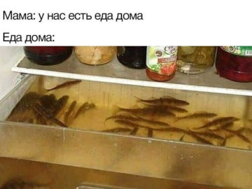 У нас есть еда дома