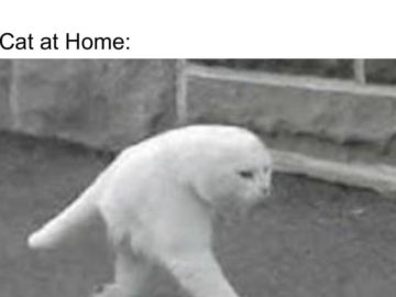 У нас есть еда дома