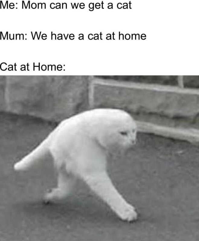 У нас есть еда дома