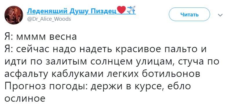 Держи в курсе ебло ослиное