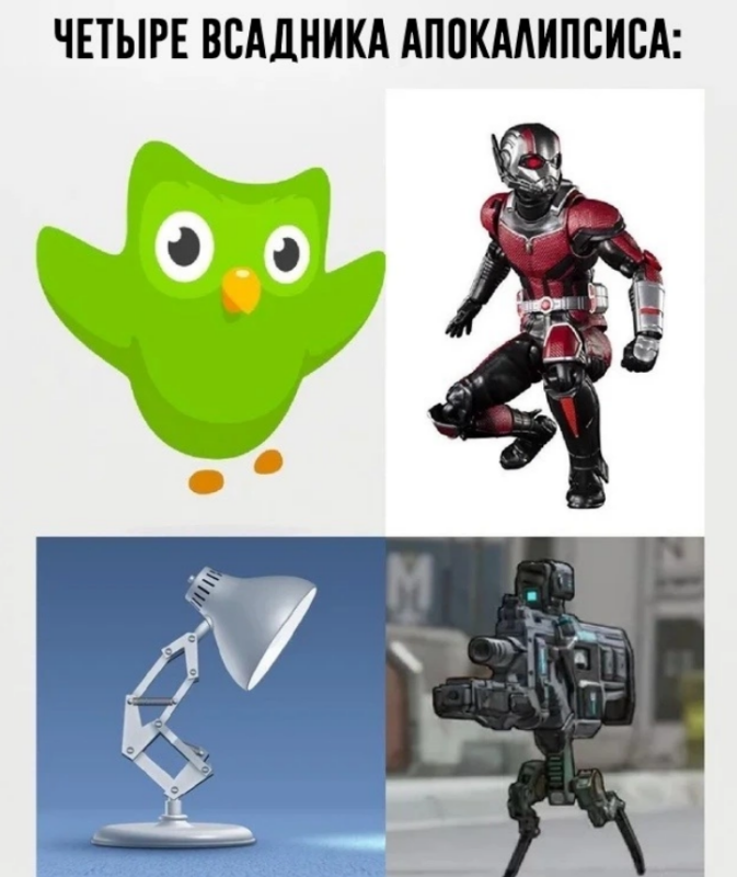 Мем с совой Duolingo