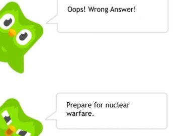 duolingo memes