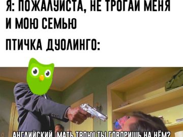 Мем с совой Duolingo