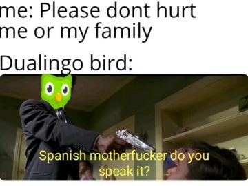 Duolingo мем