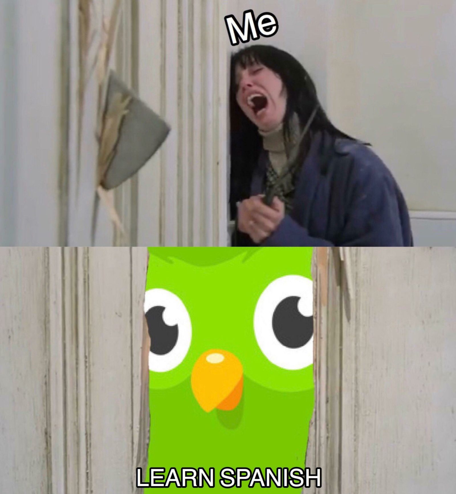 Duolingo мем