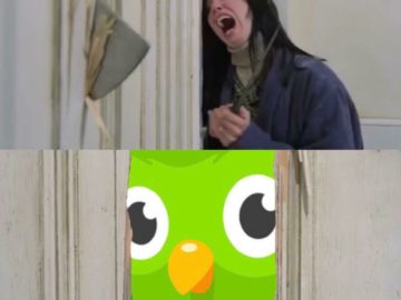 Duolingo мем