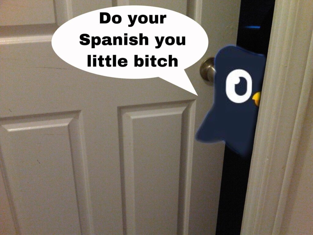 Duolingo мем