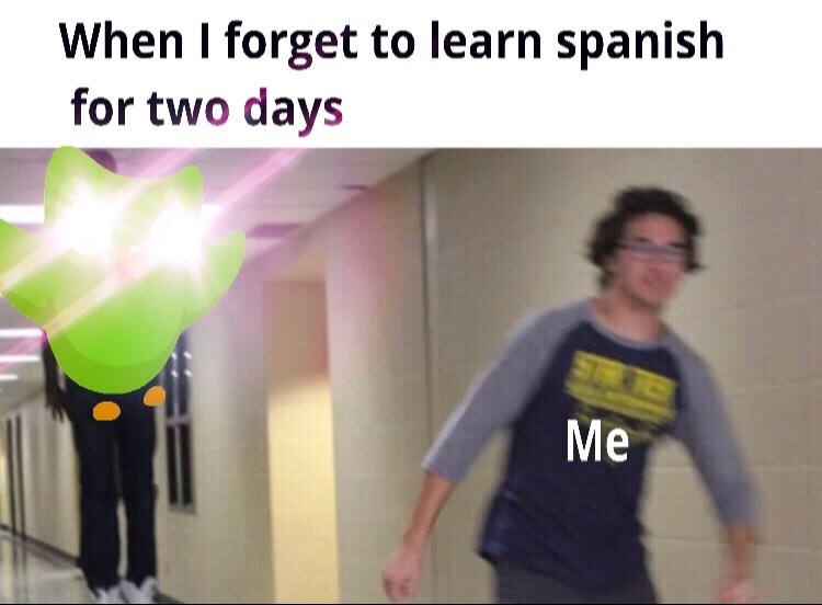 Duolingo meme