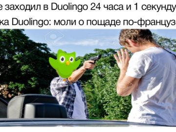 Duolingo мем