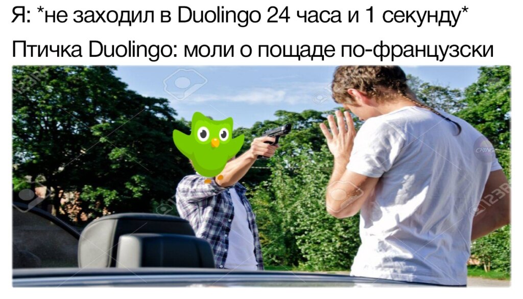 Duolingo мем