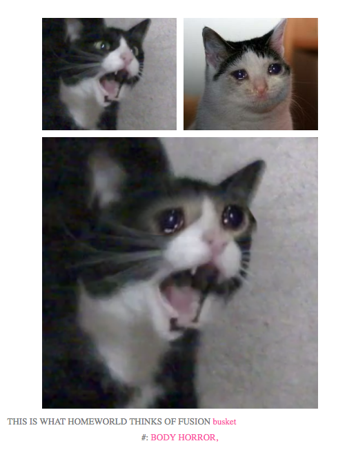 Кот кричит