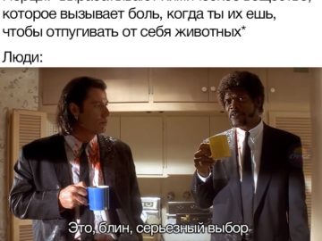 Это выбор настоящего гурмана