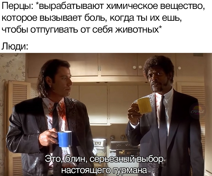 Это выбор настоящего гурмана