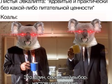 Это выбор настоящего гурмана