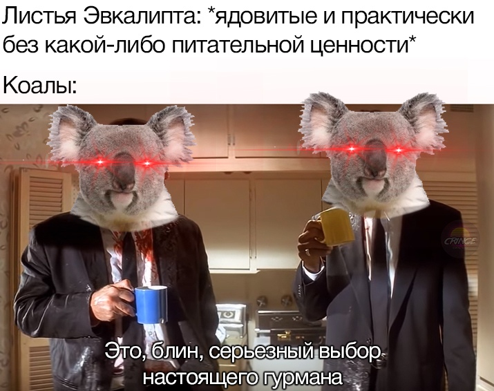 Это выбор настоящего гурмана