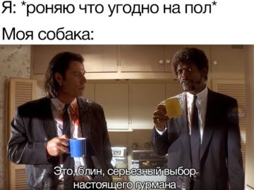Это выбор настоящего гурмана