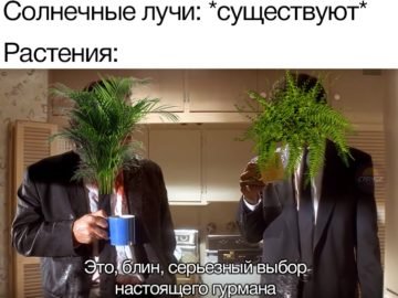 Это выбор настоящего гурмана